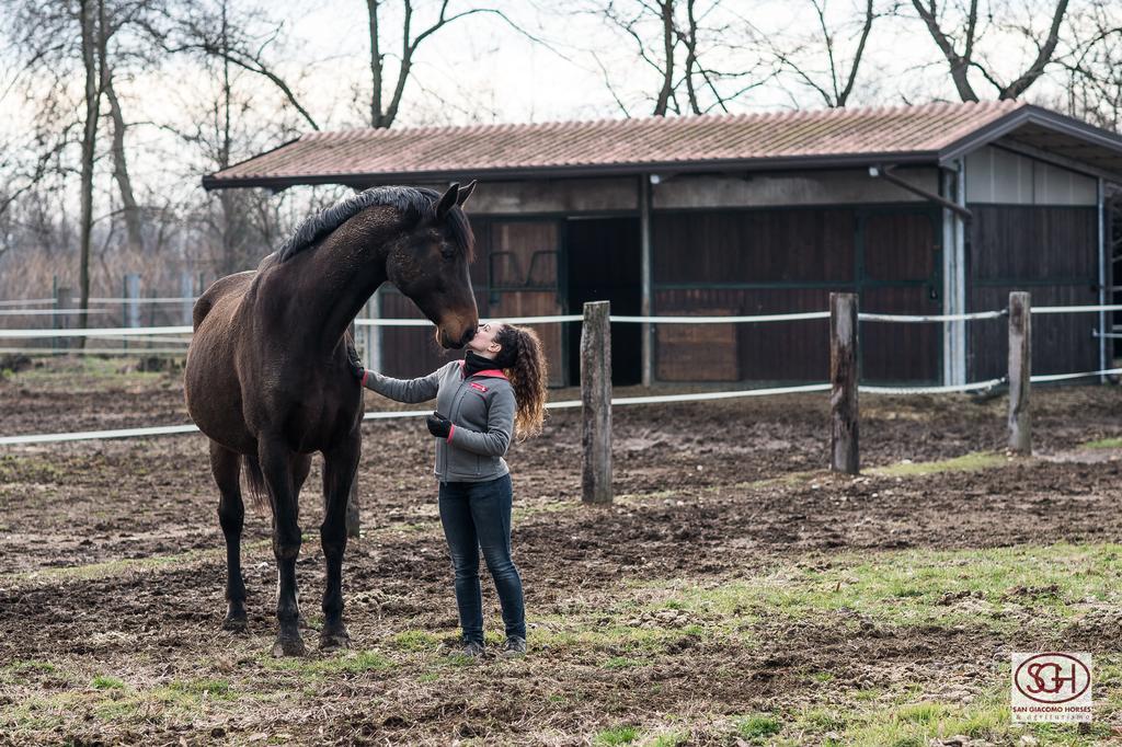 San Giacomo Horses & Agriturismo Arluno Exteriör bild