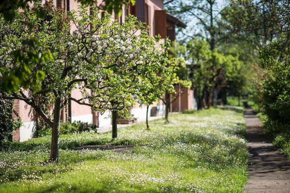 San Giacomo Horses & Agriturismo Arluno Exteriör bild