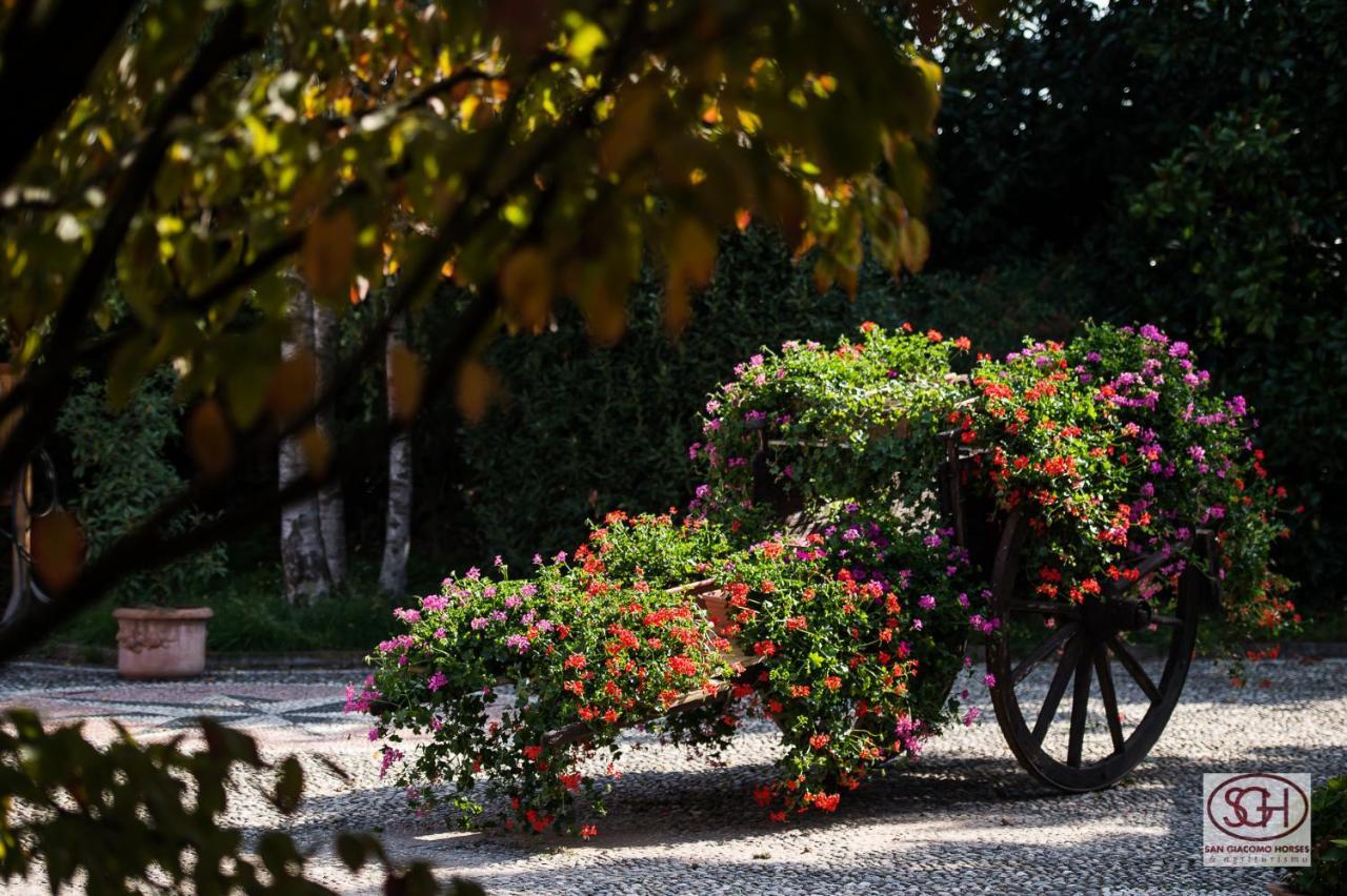 San Giacomo Horses & Agriturismo Arluno Exteriör bild
